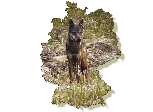 med_16-Wolfschutz.jpg (600 x 441)